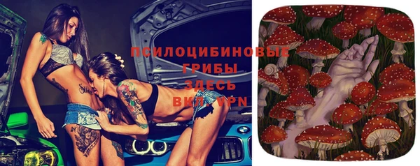 бошки Лиски