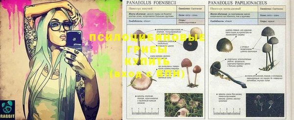 MDMA Premium VHQ Абдулино